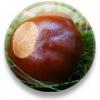 Buckeye's Avatar