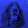 Art Rock's Avatar
