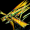Defenestrator's Avatar