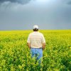 OutStandingInTheField's Avatar