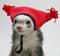 hatesfreedom's Avatar