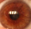 mothedrine's Avatar