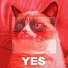 Ken S.'s Avatar