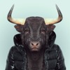 Taur's Avatar