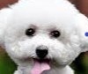 ITMEANSEPOXY's Avatar